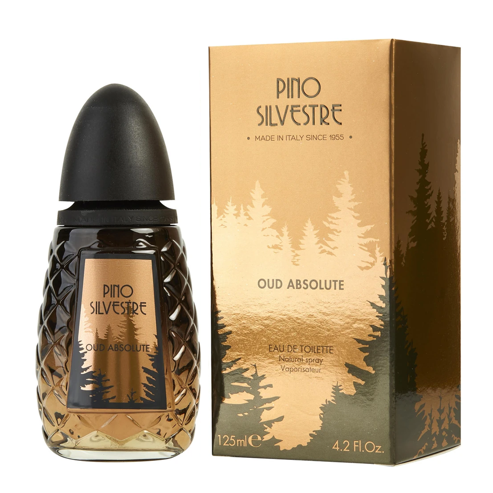 Oud Absolute by Pino Silvestre Perfume for Man
