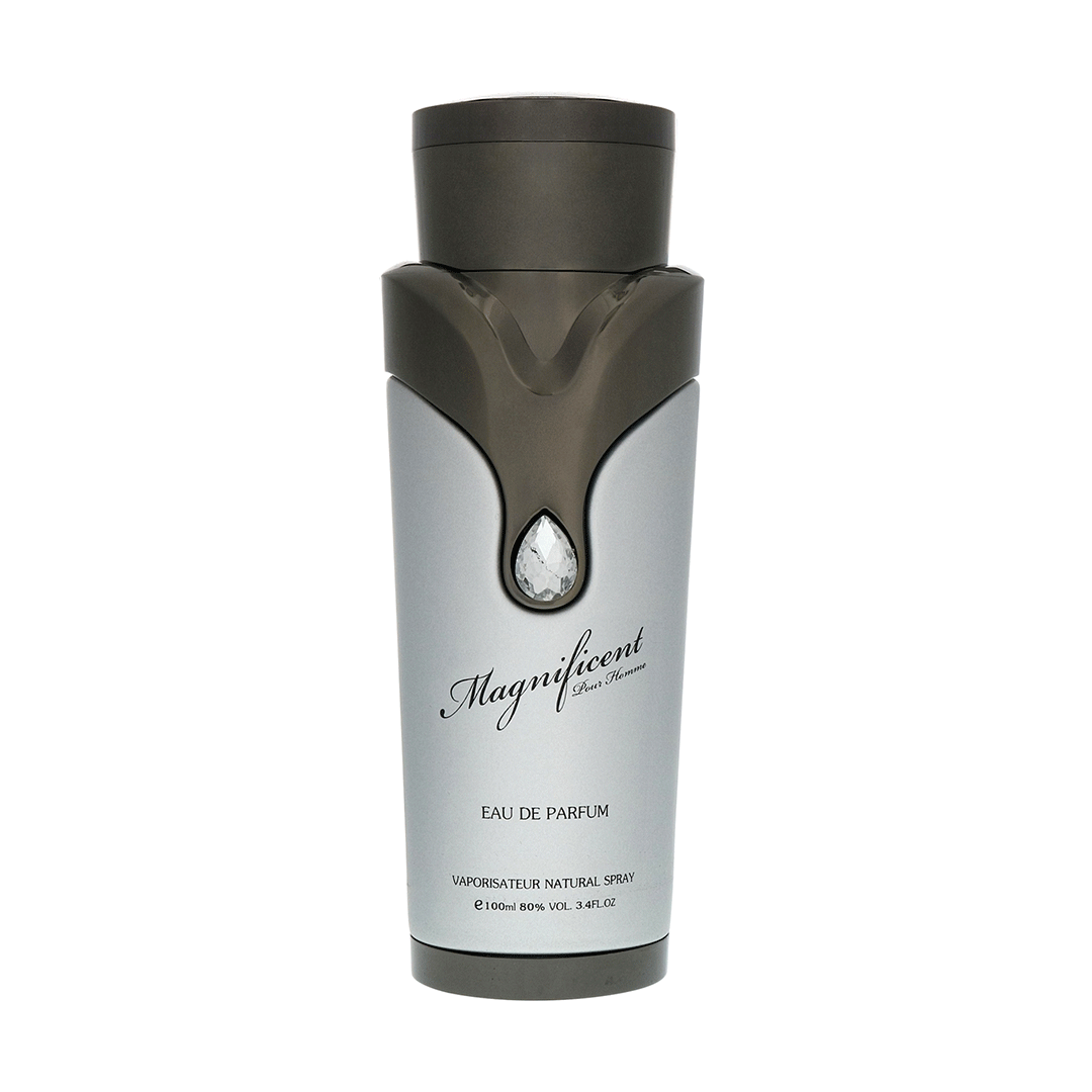 Magnificent by Armaf Perfume for Man