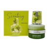 Scentasy Matcha Magix