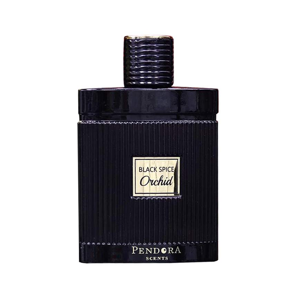 Black Spice Orchid