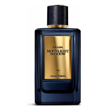 Moonlight Shadow Fig