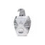 Ghala Zayed Luxury Silver by Ard Al Khaleej Perfume for Unisex
